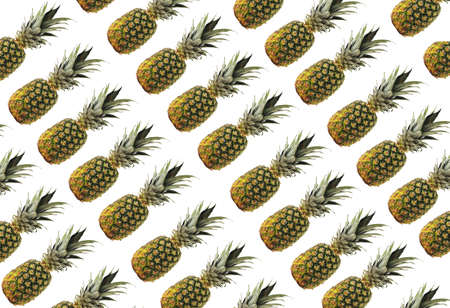 pineapple on white backgroundの写真素材