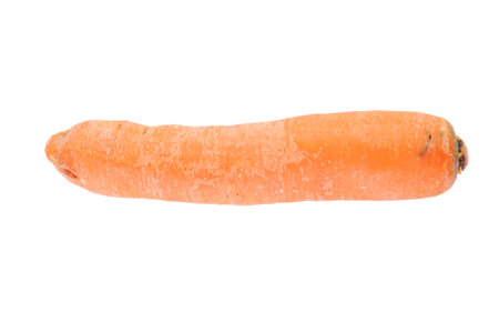 One orange raw washed carrot isolated on white backgroundの写真素材