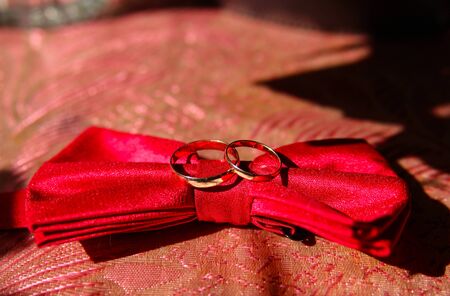 the bridegroomの写真素材