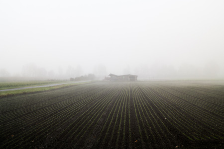 A farmhouse in thick fogのeditorial素材