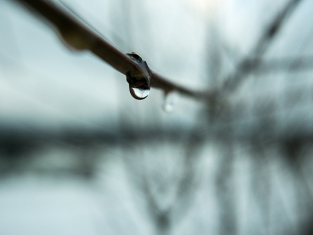 Drop of water falling from a fenceの写真素材