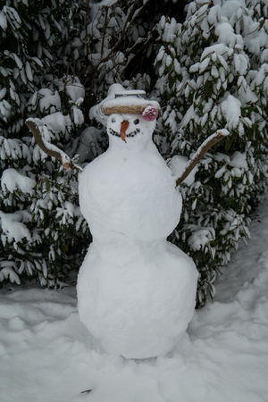 A snowman in front of some bushes covered in snowの写真素材