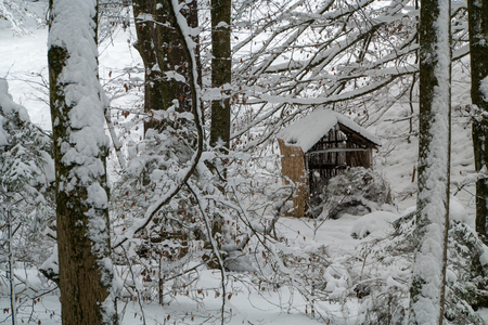 A hut covered in snow in the forest during winterの写真素材