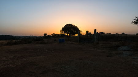 An orange sunrise in Portugal behind a treeの写真素材