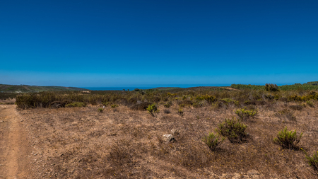 Dry grasslands in the portuguese countryside during summerの写真素材