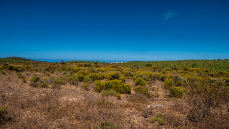 Dry grasslands in the portuguese countryside during summerの写真素材