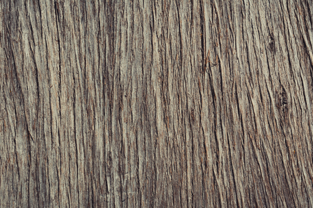 Wooden texture of medium dark natural wood vertical linesの写真素材
