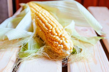 raw yellow corn cob lying on wooden tableの写真素材