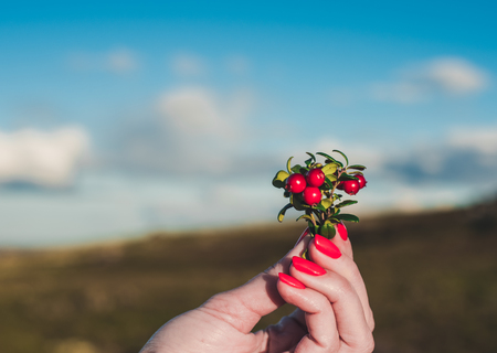 the girl holds a bouquet of red berries of cowberry on background of blue skyの写真素材