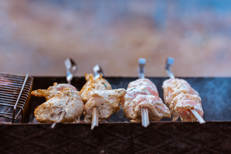 Juicy meat barbecue on a brazier with the burning coalsの写真素材