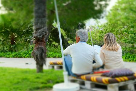 Back view of elder romantic couple in love sitting on grass field and watch the landscape in the parkのeditorial素材