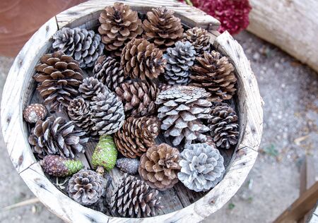 Christmas rustic outdoor decor with silver painted in white round pot. Above view