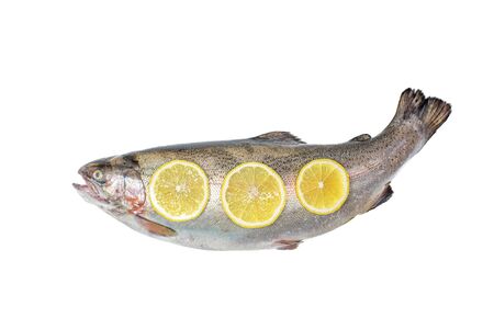View above the whole big a salmon fish with lemon slices isolated on a white backgroundの写真素材