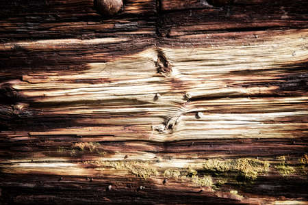 Old textures wooden peeled board with rusty nails