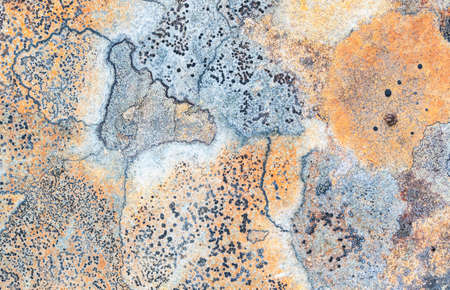 Pattern texture of rough gray stone surface which have grown with a moss.の写真素材