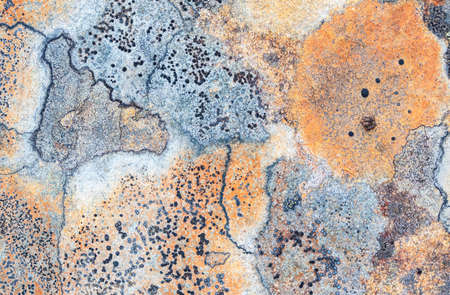 Pattern texture of rough gray stone surface which have grown with a moss.の写真素材
