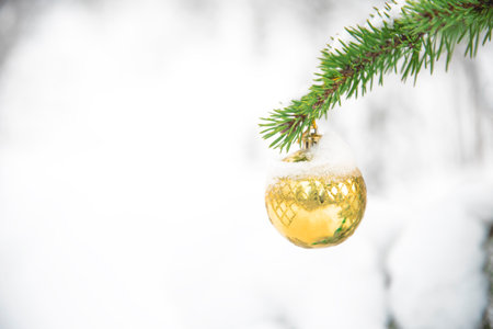Close up gold glitter ball on christmas tree outdoor in the new year forestの写真素材