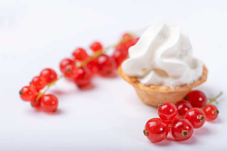 Red currant fresh berries and vanilla cream in the tart on white background