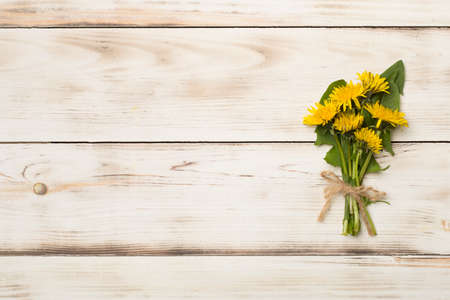 Yellow dandelion on wooden background, top view.の写真素材