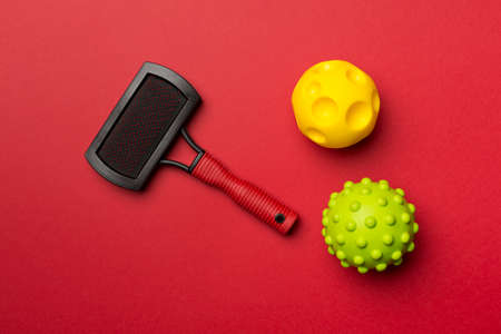 Pet brush and ball toys on color background.の写真素材