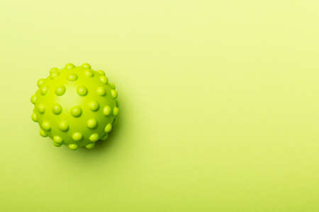 Green spikey ball toy for pet on color background.の写真素材