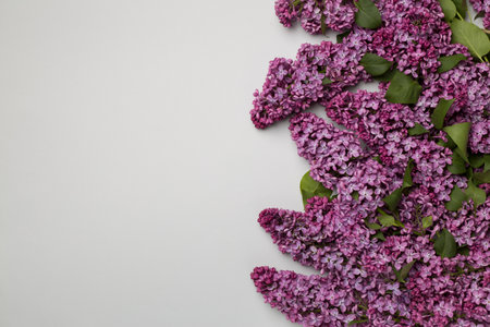 Lilac branches on color background, top view. Spring flowers concept.の写真素材