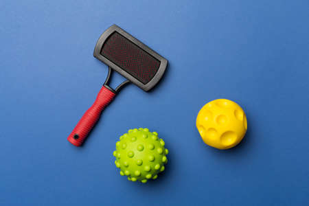 Pet brush and ball toys on color background.の写真素材