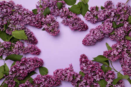 Lilac branches on color background, top view. Spring flowers concept.の写真素材