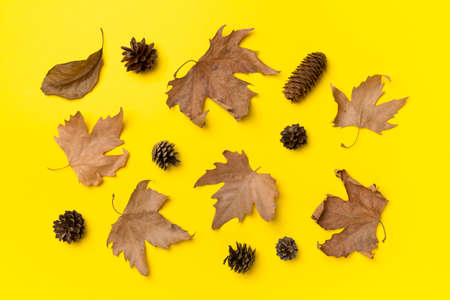 Flat lay composition with autumn leaves on color background, top view.の写真素材