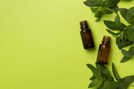 Melissa essential oil bottles on color background, top view.の写真素材