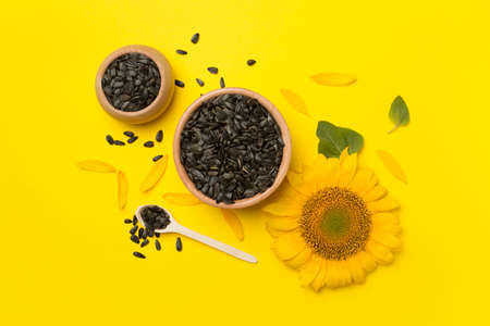 Sunflower seeds and flowers on color background, top view.