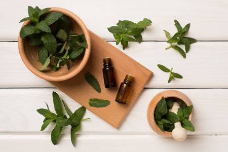 Melissa essential oil bottles with mortar pestle on wooden background, top view.の写真素材
