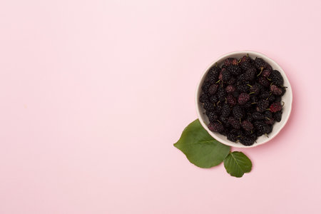 Bowls with mulberry fruit on color background.