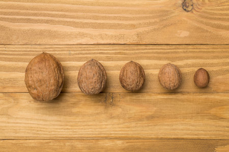 Different sizes walnuts on wooden background, top view.