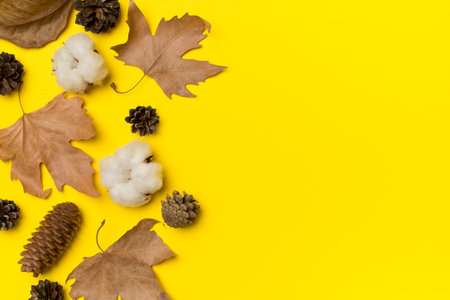 Flat lay composition with autumn leaves on color background, top view.