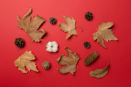 Flat lay composition with autumn leaves on color background, top view.の写真素材