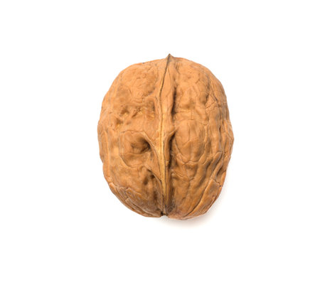 Walnut isolated on white, top view.の写真素材