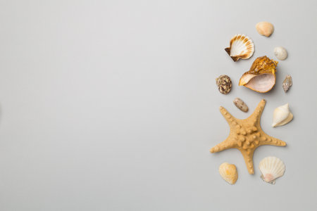 Sea shells on color background, top view. Summer concept.
