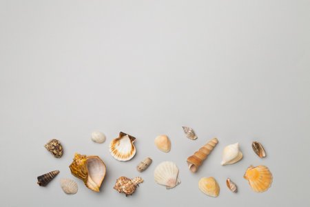 Sea shells on color background, top view. Summer concept.の写真素材