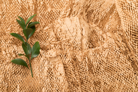 Eco-friendly honeycomb craft paper with plant branch as background, top viewの写真素材