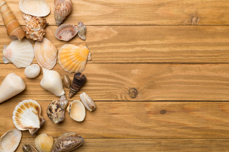 Sea shells on wooden background, top view. Summer concept.