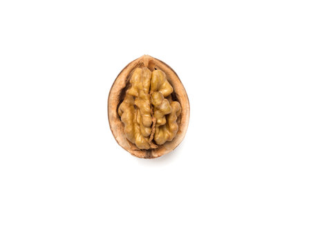 Walnut isolated on white, top view.