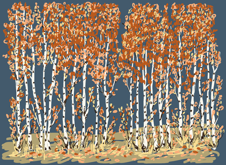 image of the birch grove in the fall.のイラスト素材