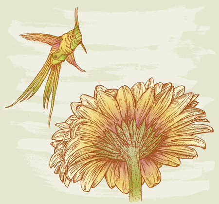 image of a hummingbird flying over the flower.のイラスト素材
