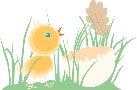 The vector image of a newborn chick in the grass.のイラスト素材