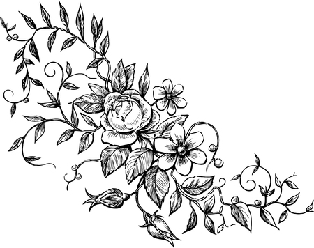 Vector drawing of the decorative floral element.のイラスト素材