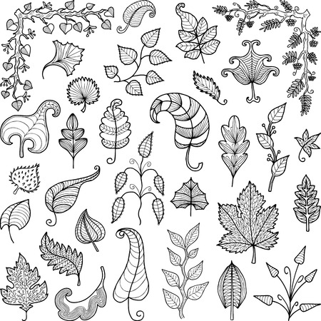 The vector image of the different decorative leaves.のイラスト素材