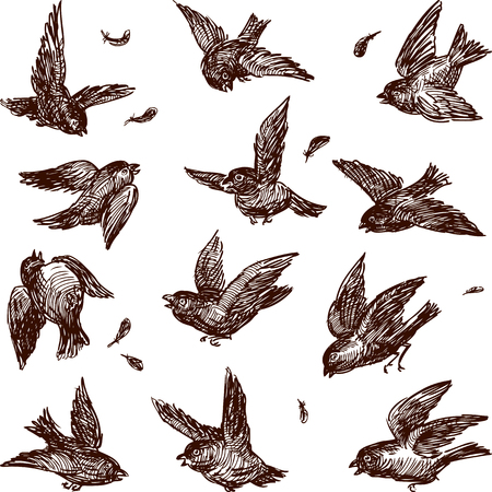 Vector drawing of the flying sparrows.のイラスト素材
