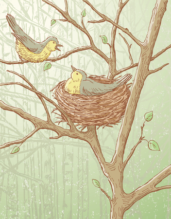 Vector drawing of the breeding birds in the spring woods.のイラスト素材