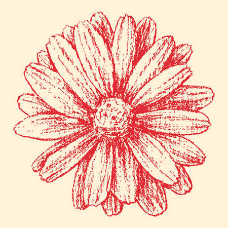 Vector image of a red garden.のイラスト素材